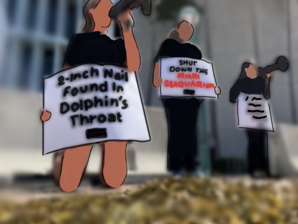 Protesting for closure, individuals in People for the Ethical Treatment of Animals (PETA) spread awareness on how a 3-inch nail was found in a dolphin's throat. 